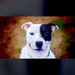 Meet your Posher, Harpreet